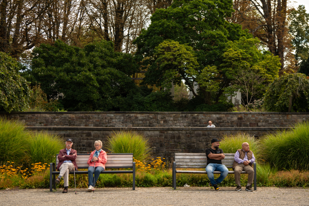 Rossviertel & Ronheide